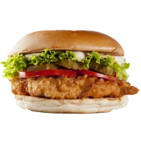 sla,tomaat,augurk,wortel,gebakken ui,curry,mayo<br>